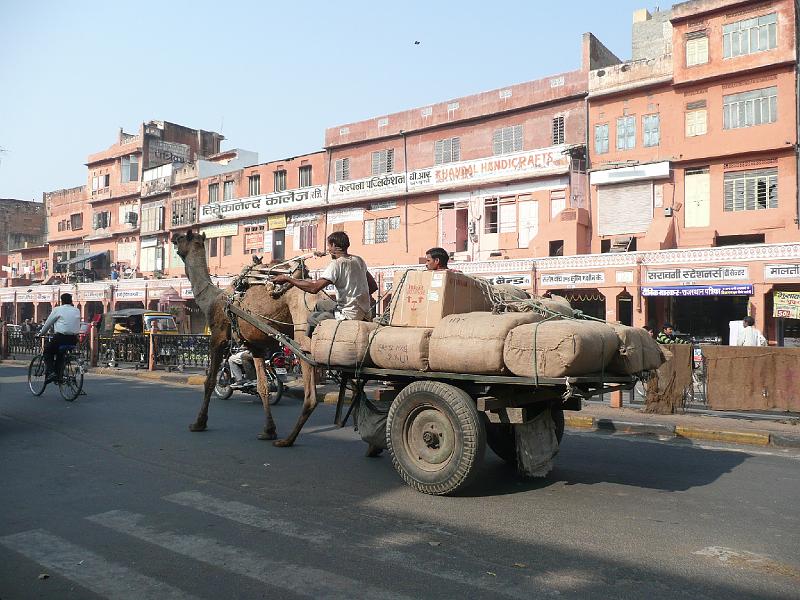 P1060856-  A Jaipur.JPG - Jaipur